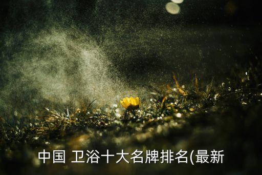 雙牌衛(wèi)浴是什么品牌的瓷磚