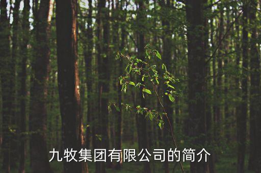 九牧集團(tuán)有限公司的簡(jiǎn)介