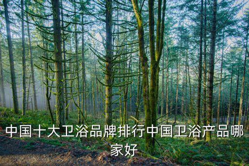 中國十大衛(wèi)浴品牌排行中國衛(wèi)浴產(chǎn)品哪家好