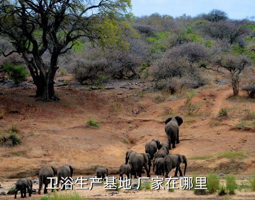 衛(wèi)浴生產(chǎn)基地 廠家在哪里