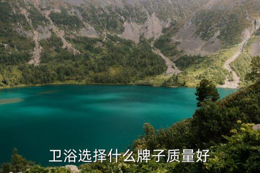 衛(wèi)浴選擇什么牌子質(zhì)量好