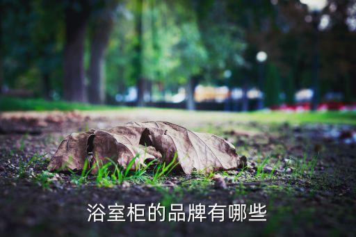 浴室柜的品牌有哪些
