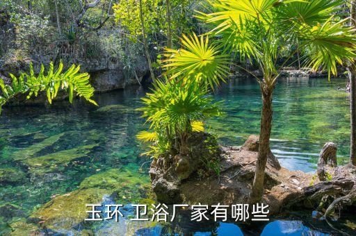 星嶼衛(wèi)浴 江門店地址