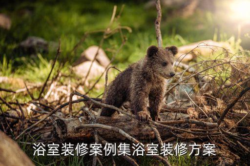 浴室裝修案例集浴室裝修方案