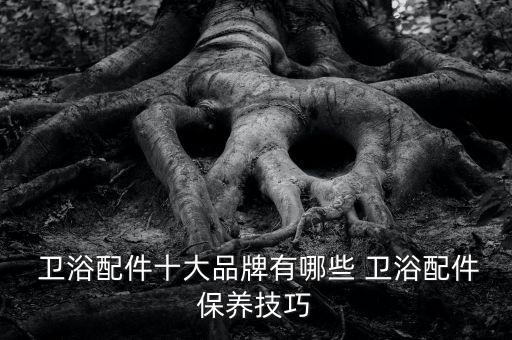蘇得利衛(wèi)浴品牌是幾線,隆得利衛(wèi)浴是品牌嗎