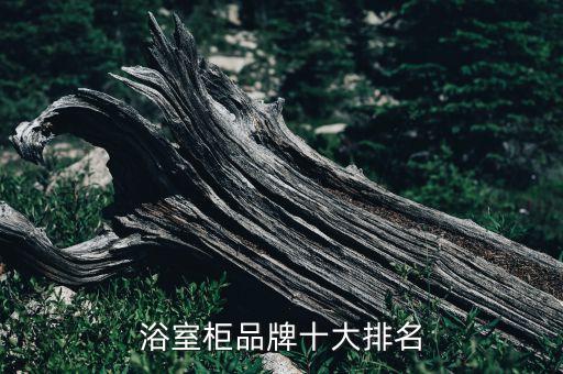 廣東衛(wèi)浴場景圖片欣賞,衛(wèi)浴展示廳圖片欣賞