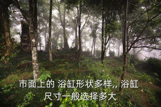豪宅衛(wèi)浴浴缸尺寸圖紙圖片