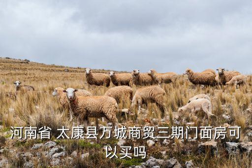 河南省 太康縣萬城商貿三期門面房可以買嗎