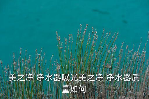 美之凈 凈水器曝光美之凈 凈水器質(zhì)量如何