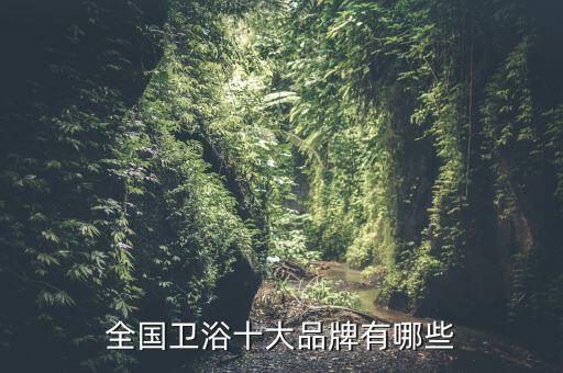 全國衛(wèi)浴十大品牌有哪些