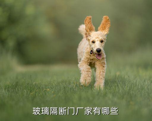 玻璃隔斷門廠家有哪些
