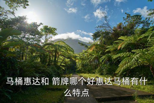 馬桶惠達和 箭牌哪個好惠達馬桶有什么特點