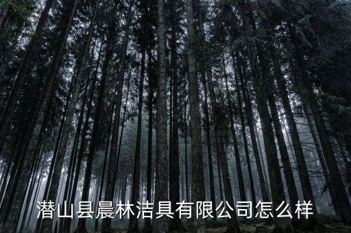 晨林衛(wèi)浴個(gè)體店地址