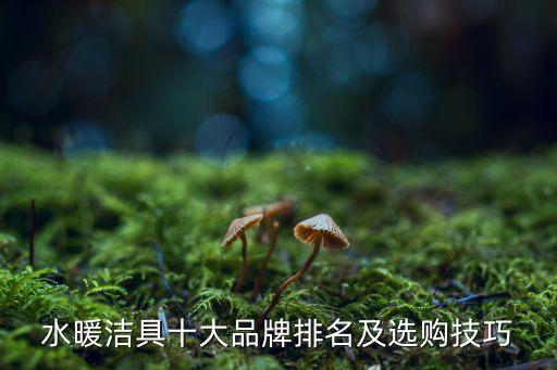 陜西節(jié)水衛(wèi)浴牌子圖片大全