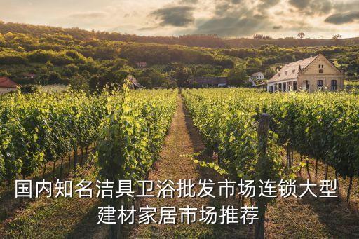 國內(nèi)知名潔具衛(wèi)浴批發(fā)市場連鎖大型 建材家居市場推薦