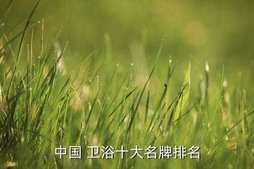 中國(guó) 衛(wèi)浴十大名牌排名