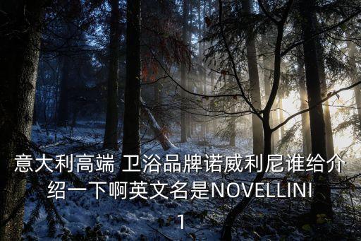 意大利高端 衛(wèi)浴品牌諾威利尼誰給介紹一下啊英文名是NOVELLINI1