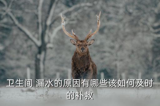 衛(wèi)生間 漏水的原因有哪些該如何及時(shí)的補(bǔ)救