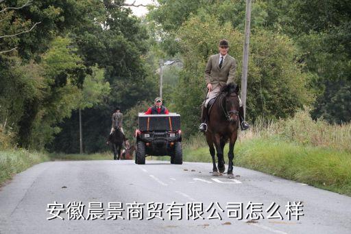 安徽晨景商貿(mào)有限公司怎么樣