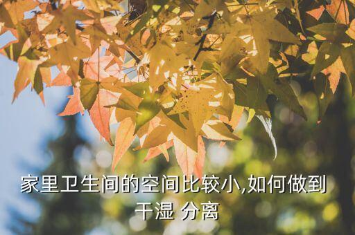 家里衛(wèi)生間的空間比較小,如何做到 干濕 分離