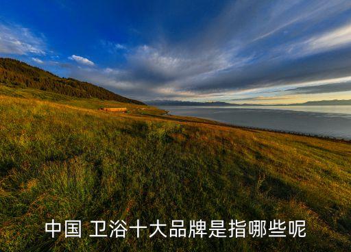 中國 衛(wèi)浴十大品牌是指哪些呢
