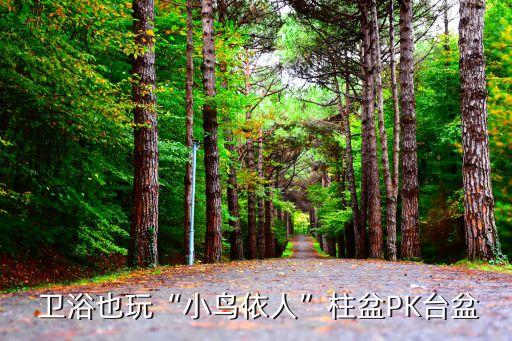  衛(wèi)浴也玩“小鳥依人”柱盆PK臺盆