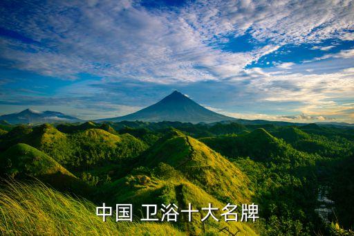 中國 衛(wèi)浴十大名牌