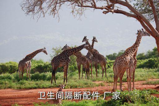 衛(wèi)生間隔斷配件 廠家