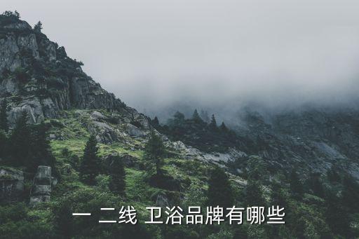 一 二線 衛(wèi)浴品牌有哪些