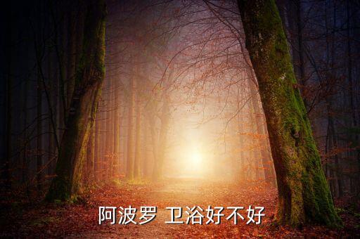 阿波羅衛(wèi)浴是十大品牌嗎,美國阿波羅漆十大品牌