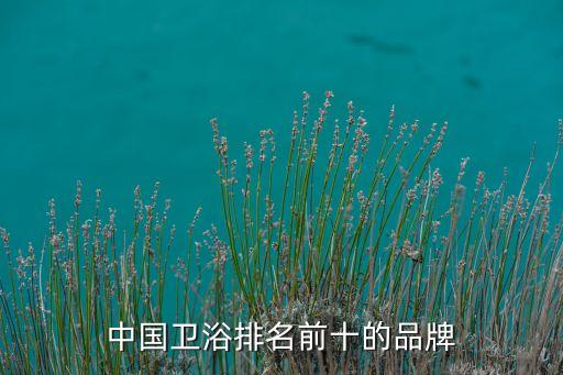 中國(guó)衛(wèi)浴排名前十的品牌