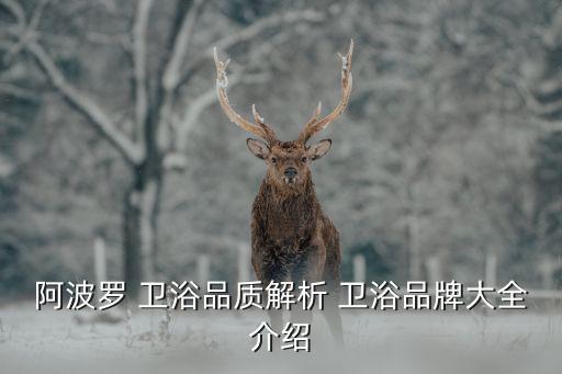 阿波羅 衛(wèi)浴品質(zhì)解析 衛(wèi)浴品牌大全介紹