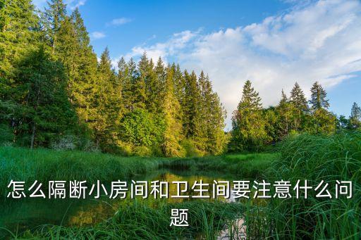 小臥室獨立衛(wèi)浴房圖片,15平方的臥室可以做獨立衛(wèi)浴嗎