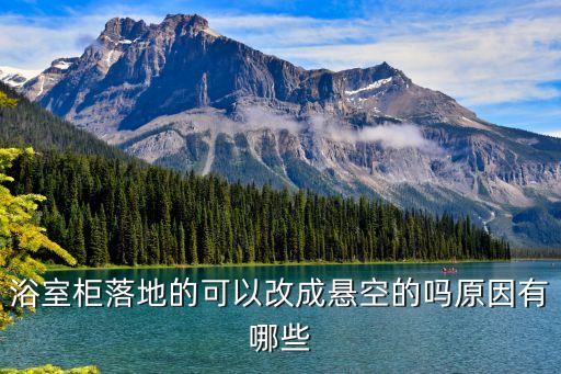 小戶型衛(wèi)浴柜u型圖片