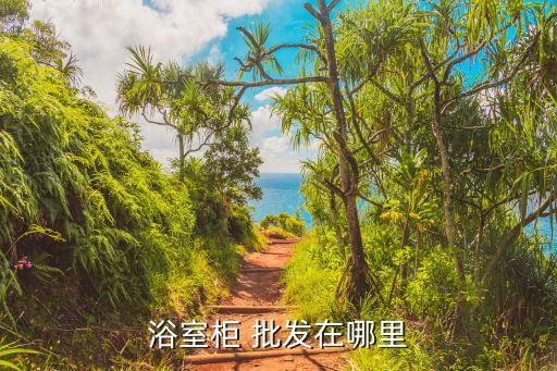 浴室柜 批發(fā)在哪里