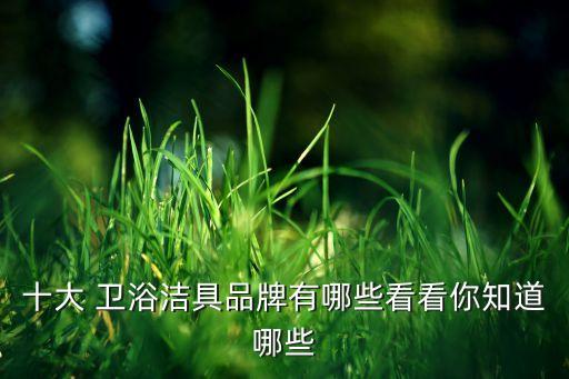 十大 衛(wèi)浴潔具品牌有哪些看看你知道哪些