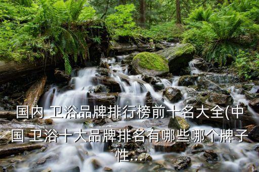 國(guó)內(nèi) 衛(wèi)浴品牌排行榜前十名大全(中國(guó) 衛(wèi)浴十大品牌排名有哪些哪個(gè)牌子性...