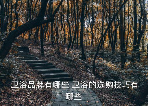  衛(wèi)浴品牌有哪些 衛(wèi)浴的選購技巧有哪些