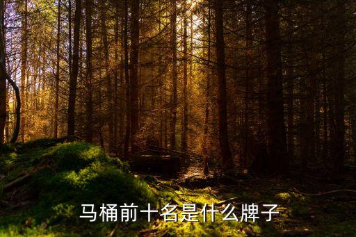 衛(wèi)浴馬桶第一品牌有哪些,馬桶衛(wèi)浴品牌