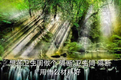 想在衛(wèi)生間做個(gè) 隔斷,衛(wèi)生間 隔斷用什么材料好