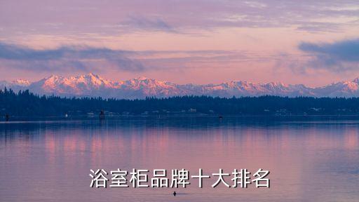衛(wèi)浴奢侈品牌子設(shè)計圖