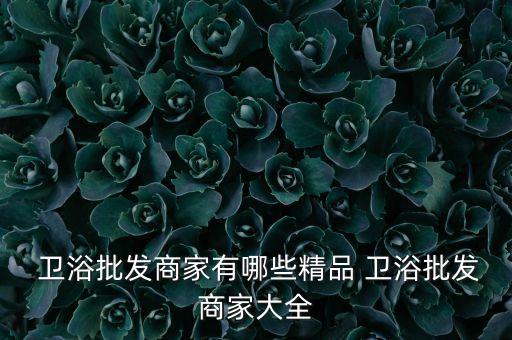 任丘潔具衛(wèi)浴網(wǎng)點(diǎn)地址