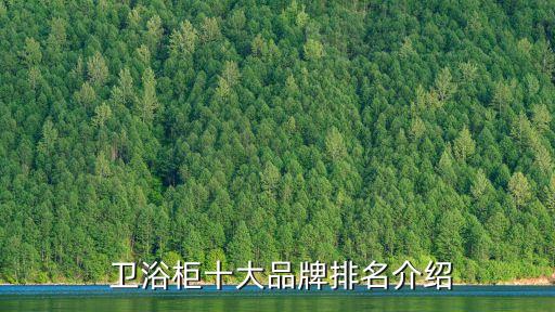 品牌衛(wèi)浴哪里有賣家具的,科維思衛(wèi)浴是哪里的品牌