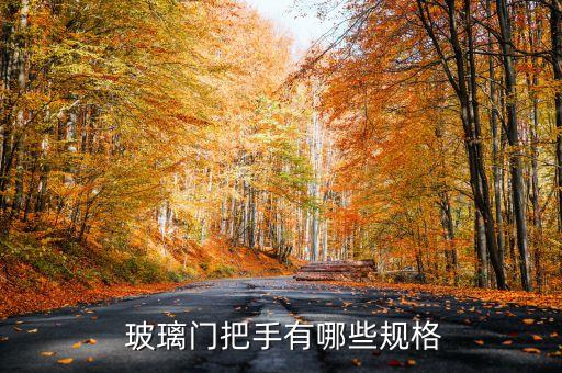  玻璃門(mén)把手有哪些規(guī)格