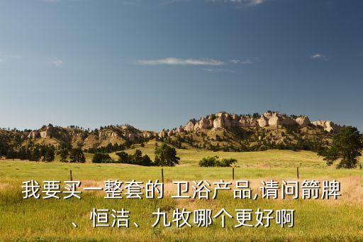 我要買一整套的 衛(wèi)浴產品,請問箭牌、恒潔、九牧哪個更好啊