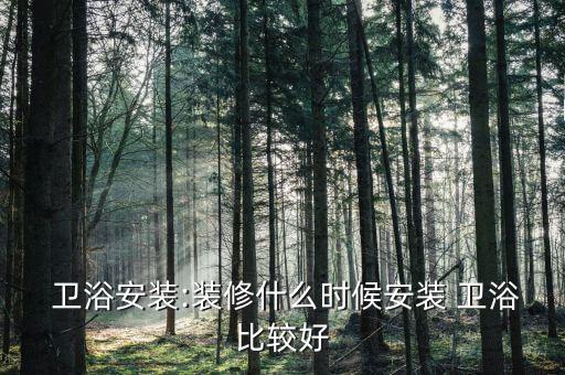  衛(wèi)浴安裝:裝修什么時(shí)候安裝 衛(wèi)浴比較好