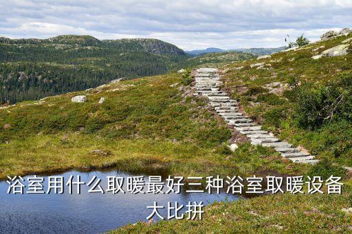 個性衛(wèi)浴暖氣片安裝圖片