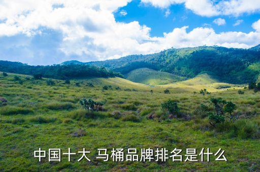中國十大 馬桶品牌排名是什么