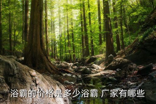 浴霸的價(jià)格是多少浴霸 廠家有哪些