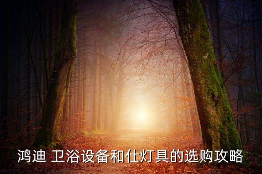 鴻迪 衛(wèi)浴設(shè)備和仕燈具的選購攻略